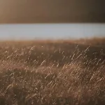 Barrel Land Blidinje - Drvena Bacva Za Spavanje אתר קמפינג *