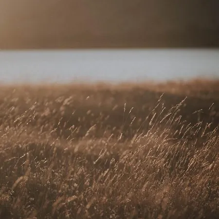 Barrel Land Blidinje - Drvena Bacva Za Spavanje Kamp alanı *